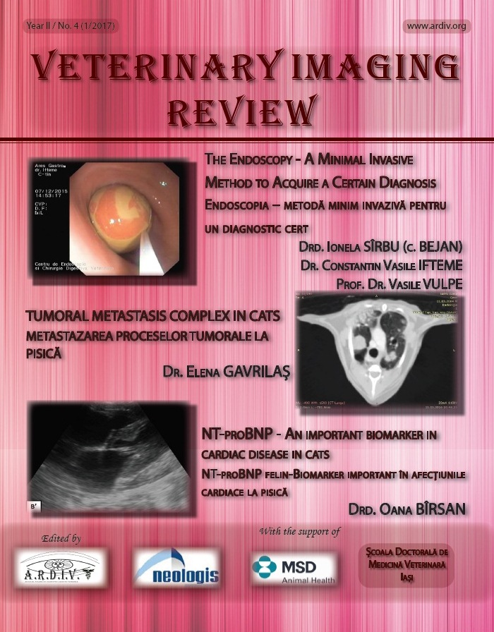 Veterinary Imaging Review IV (1/2017)